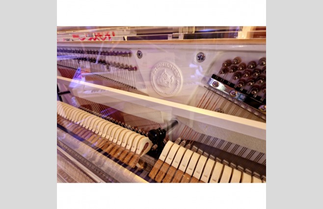 Steinhoven SU123 Crystal Upright Piano - Image 7